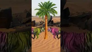 mera moula haidar haidar islamic video vfx video #shorts