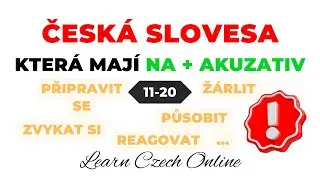 CZECH VERBS that have NA + ACCUSATIVE 11-20