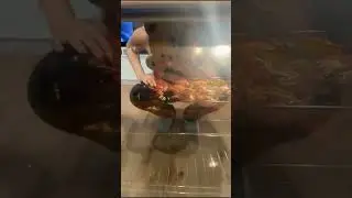 وخلصنا الاكل😍😋