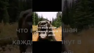 Что видит рошан каждые 10 минут в катке с урсой 