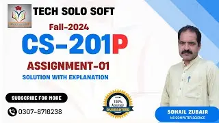 CS201P Assignment 1 Solution Fall 2024 100% Accurate by Tech Solo Soft | CS201P Assignment 2024