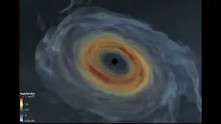 Distribution of Matter Around a Newborn Black Hole Following a Collapsar Event