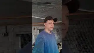Белгород. Опять шумно. Эксперимент с птицей.