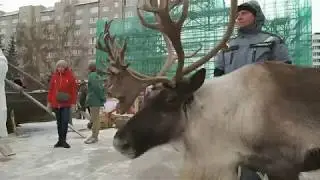 День народного единства Красноярск. Празднование возле БКЗ