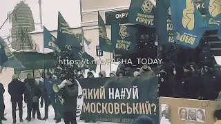 Бродячее стадо радикалов, во главе с нулевой просто ВО Свобода пришли с пикетом под окружной суд