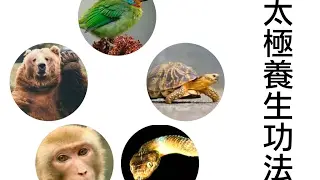 太極養生功法