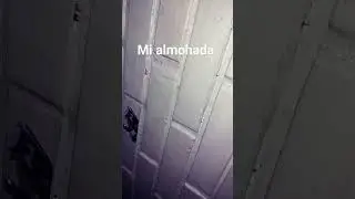 xd
