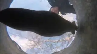 Подводная лодка против петарды. Взрываем лодку из пластилина