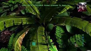 ARK Survival Evolved Settings Set Up Pt 2