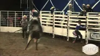 ExpoConceição 2015 - Melhores montarias # 3