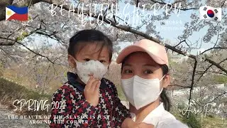 CHERRY BLOSSOMS 2022