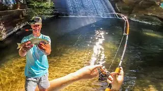 Bay Area Urban Creek Fishing (MASSIVE FISH!)