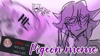 A normal day at the rp server | Pigeon Meme | Ft. friends