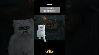 Ферал на арене  #юмор #memes #слив #арена #wow