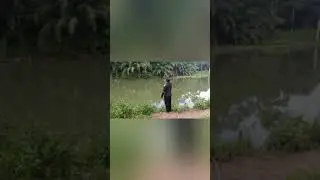 Casting di sungai tepi empangan tarik ikan Kaloi
