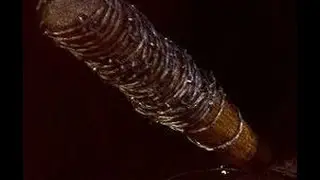 What We Know About The Walking Dead Season Six Finale 