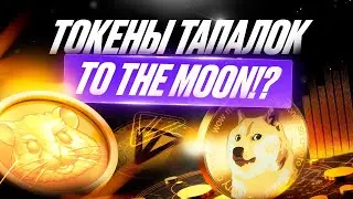 🎮 Токены тапалок TO THE MOON? Разбор Notcoin, Hamster, CATS, Catizen и Pixelverse