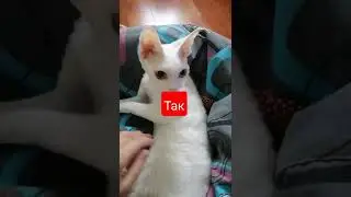 Мне так понравилось как ты изгонял меня