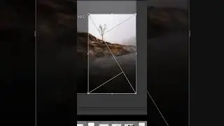 Lightroom Tips - Do this to IMPROVE your COMPOSITION