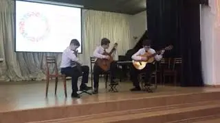 Видео трио
