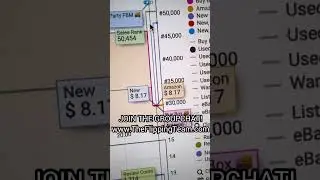 Profitable Picks! Amazon Buying and Reselling Techniques! #theflippingteam
