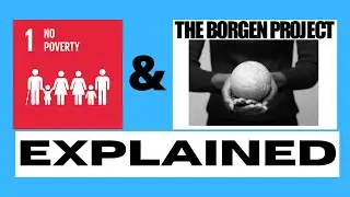 Why Address Global Poverty? The Borgen Project Explained