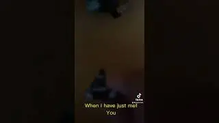 Tokito e seu amiguinho