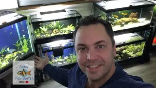 FISH ROOM TOUR!!!