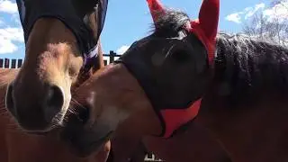Наше производство. Отправляем заказы максимально быстро!
