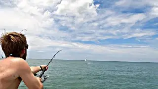 Tarpon Fishing Tampa Bay