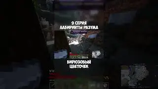 ЛП. Лабиринты разума #9 ПЛАТА • Майнкрафт [3ч]
