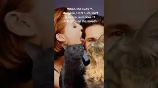 When They Love to Stargaze & UFO Hunt #datingmemes #xfiles #ufohunting #ufos #ufolovers #catmeme