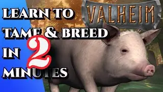 VALHEIM |Learn To Tame and Breed Wild Boar in 2 Minutes|