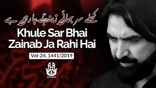 Ameer Hasan Aamir | Zainab Ja rahi hai | 2019/1441