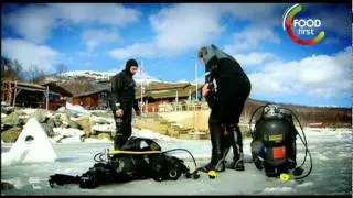 Kill your Meat before you Eat - Gordon Ramsay - Giant Crab