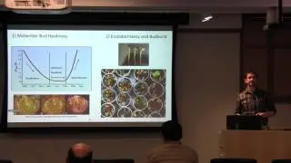 Bud dormancy and cold hardiness in wild and cultivated grapes