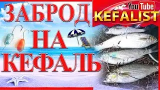 # Kefalist! FISHING ON A MILET IN THE ZABROD or how to catch a mullet: singyl, loban, pelengas