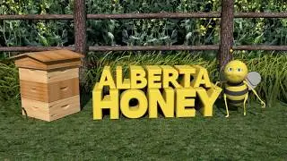 3d Honeybee Animation
