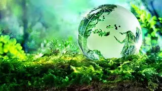 Michael Crichton - Environmentalism in Perspective
