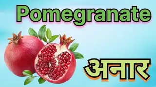 Fruits Names In English And Hindi With Pictures : फलों के नाम बच्चो के लिए : #kidssong