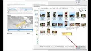 Fotos automatisch in Word einfügen als Foto Dokumentation Word Vorlage