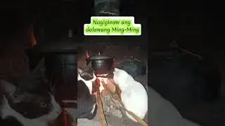 Ganito Rin Ba Ming-Ming Niyo?