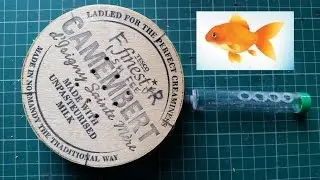 Automatic Fish Feeder powered by Arduino Uno