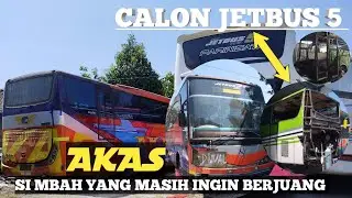 SI MBAH YANG MASIH INGIN BERJUANG,AKAN JADI APA NIH?? AKAS.... #AKAS #marcopolo #adiputro #busmania