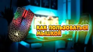 Что такое мышка и как ей пользоваться