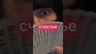 23 июля 2024 г.