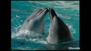 Экзюпери 0001