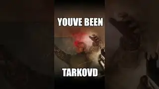 Tarkovd #Shorts #tarkov #escapefromtarkov