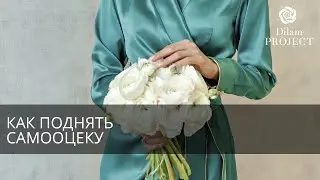 Как поднять самооценку?