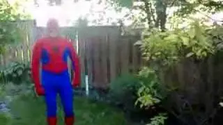 Spideri 1